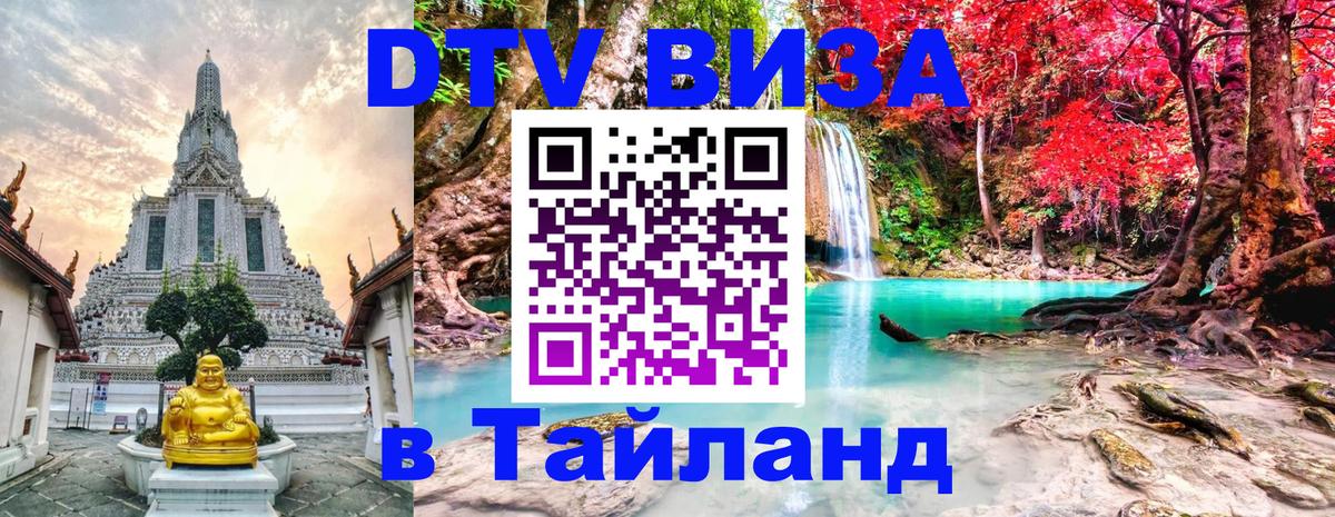 Сколько стоит DTV виза — актуальные цены, оформление даже без документов - Челябинск 